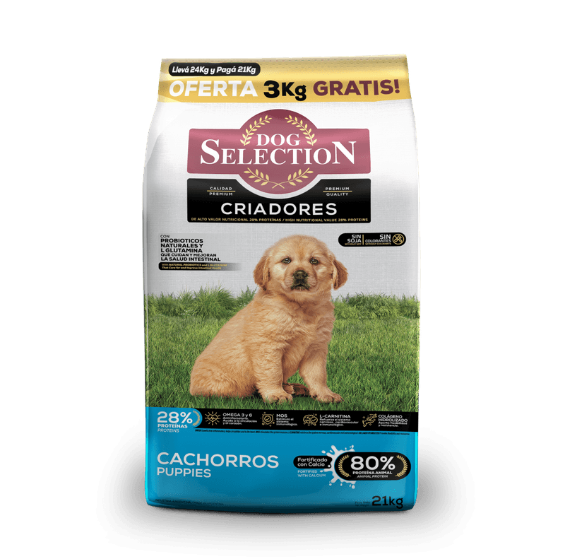 Royal Canin Mini Adult